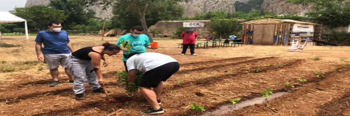 L’orto sociale di Anffas Palermo, la parola al futuro